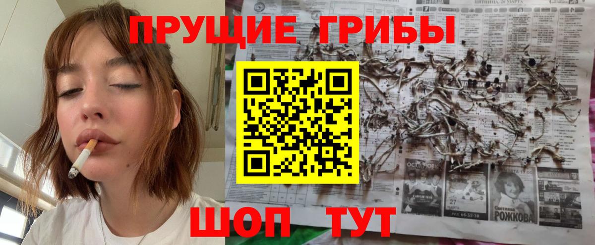 Сатка  Псилоцибиновые грибы MAGIC MUSHROOMS  Вход с VPN 