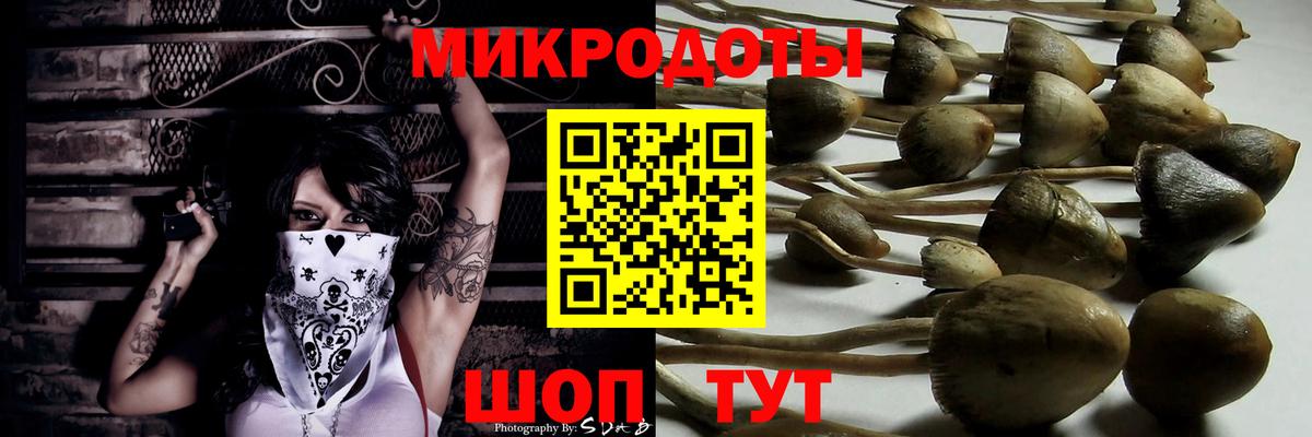 Галлюциногенные грибы Magic Shrooms Сатка